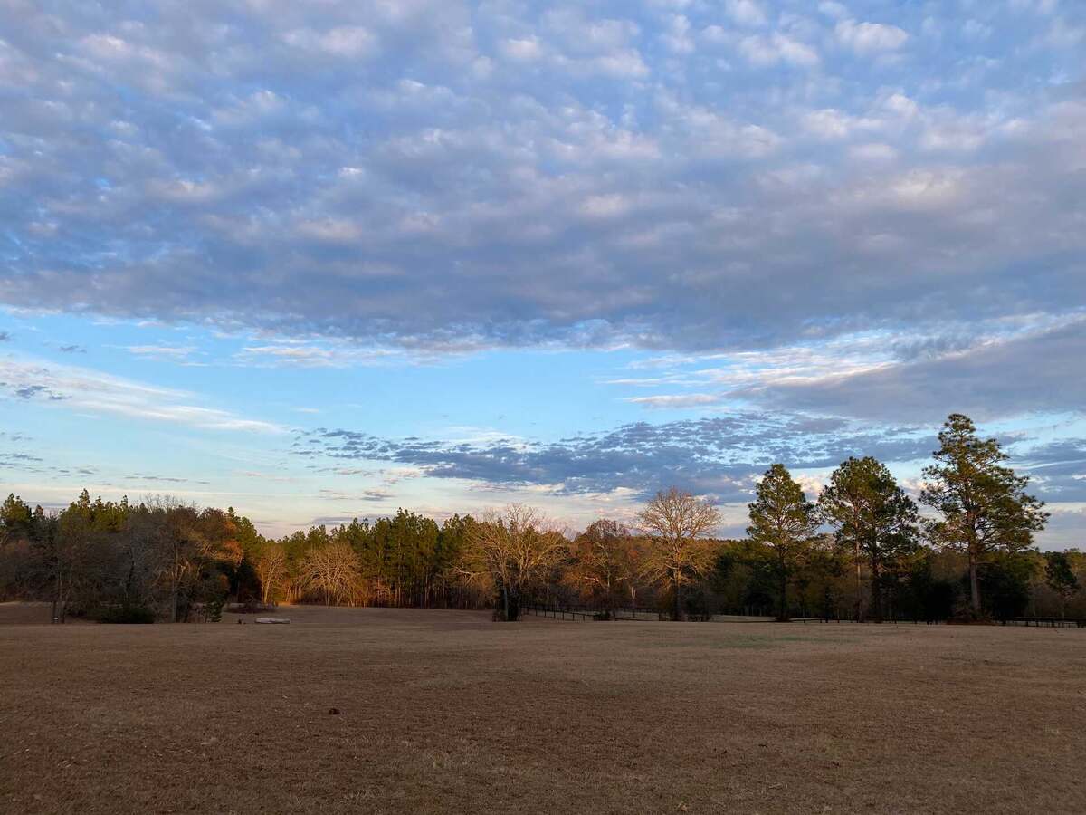 View of open pasture with brown grass, trees in the horizon, blue sky, and clouds at sunset.