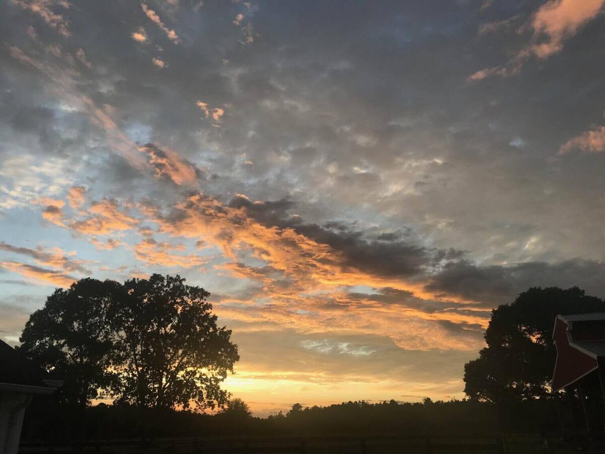 View of sunset at Dreamcatcher Farm in Aiken, SC with trees along the horizon.